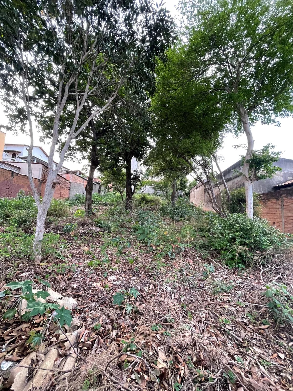 Lote com 570 m² - Padre Eustáquio